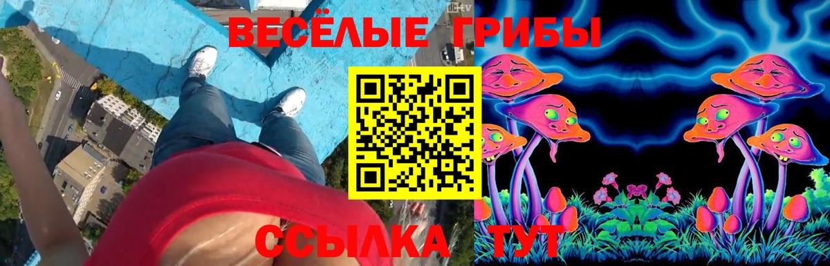 Галлюциногенные грибы ЛСД Каменск-Шахтинский