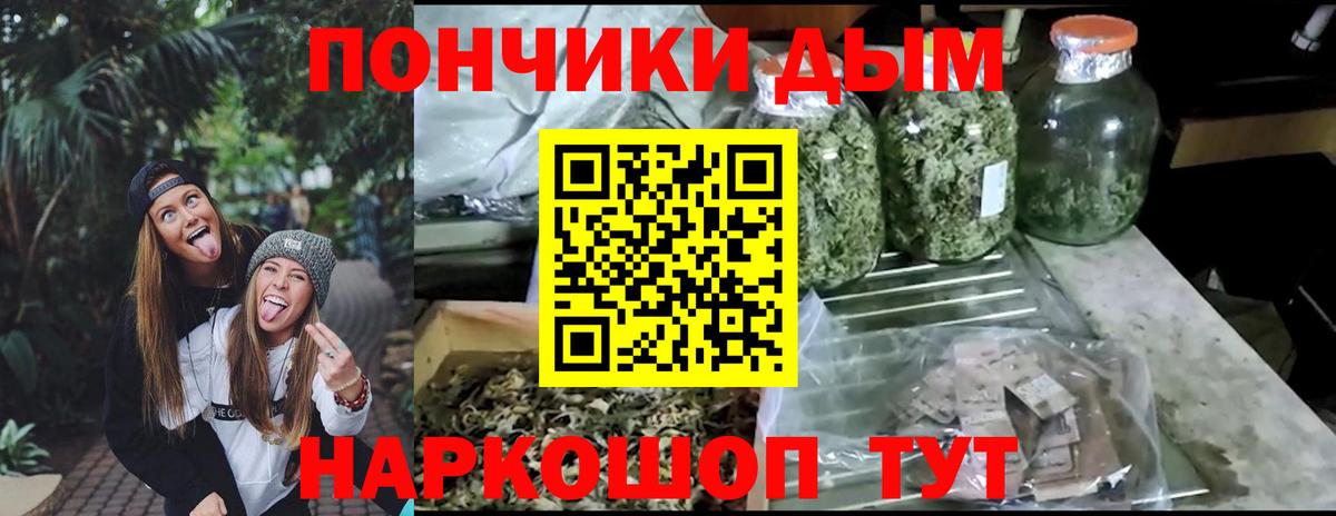 Конопля тримм  Бошки Шишки ГИДРОПОН  Каменск-Шахтинский  Марихуана план  Конопля VHQ  Вход с VPN 